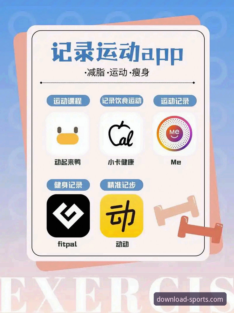 四季体育官网安卓版App下载安装与使用操作教程